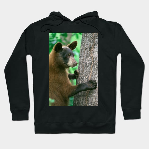 Black Bear in The Woods Hoodie by Bravuramedia